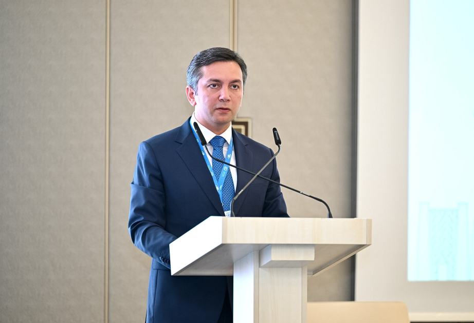 Yalchin Rafiyev: Finance is what makes implementation possible