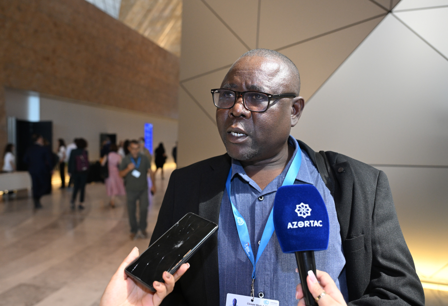 Tanzaniyalı koordinator: İqlim dəyişiklikləri ilə mübarizədə maliyyə resurslarının səfərbər edilməsi vacibdir