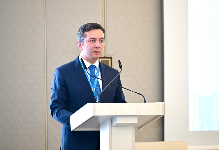 Yalchin Rafiyev: At COP29, Azerbaijan worked actively to elevate transparency to the political level