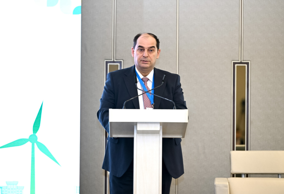 Agentlik direktoru: Regional əməkdaşlıq Azərbaycanın yaşıl enerji siyasətində mühüm yer tutur