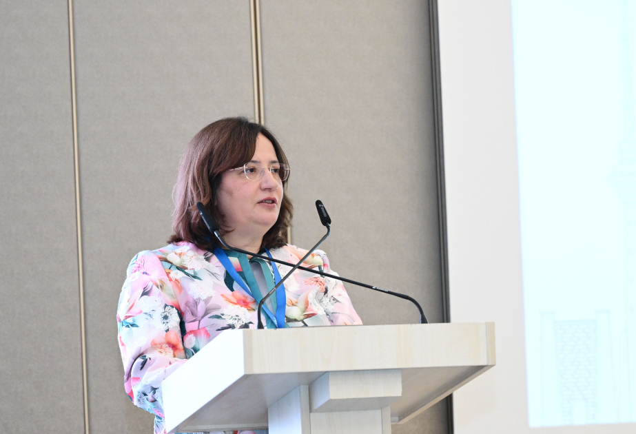 COP31 CEO: COP29 legacy has created a solid foundation