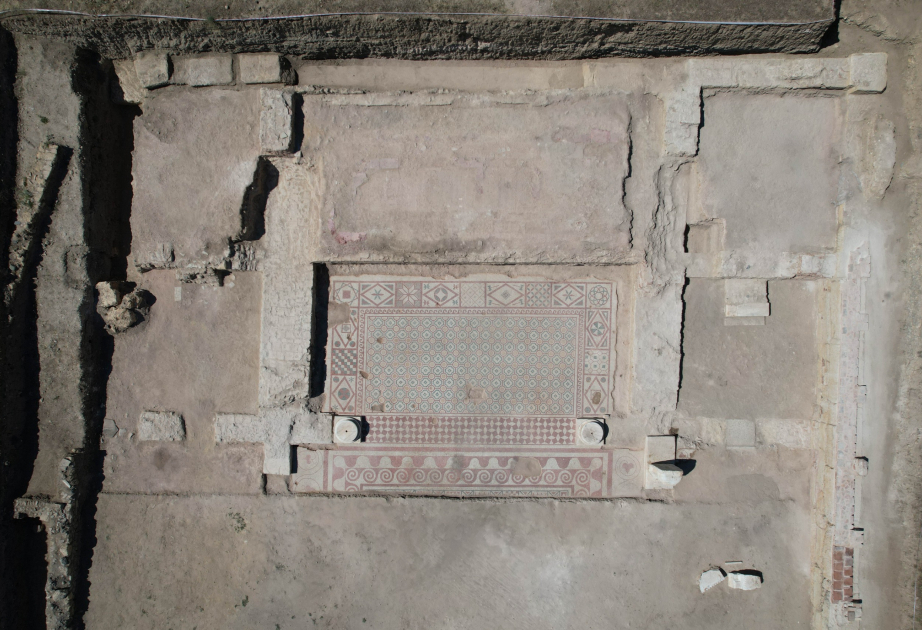 Stunning Roman-era mosaic discovered in Türkiye features 'Emerald' the cat and 'Ocean' the dog