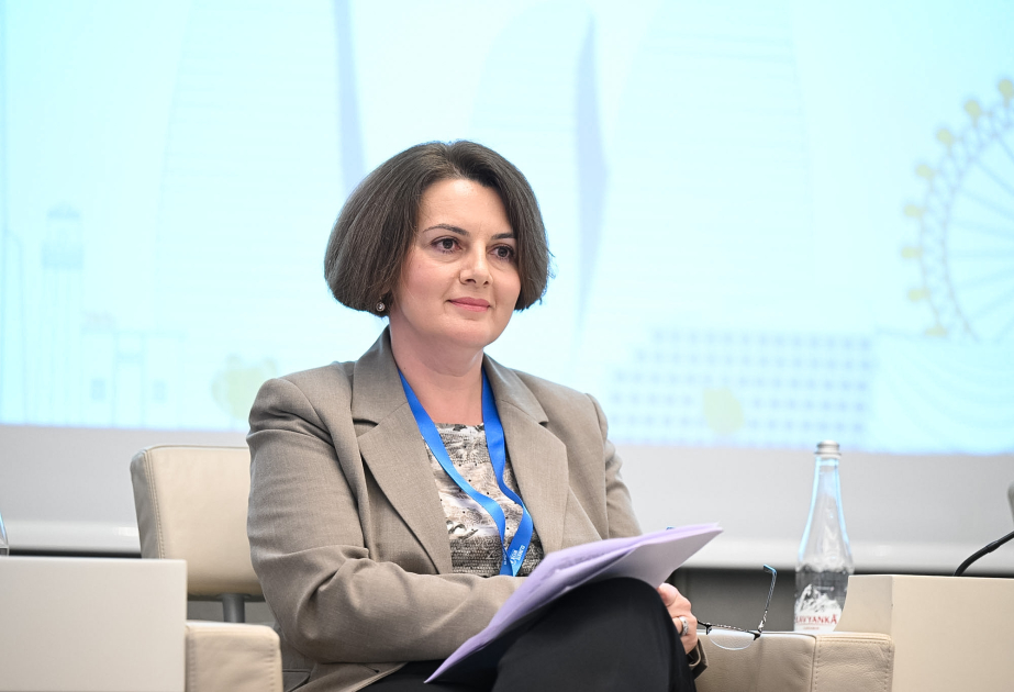 Rəna Hümbətova: Bərpaolunan enerji üzrə milli reyestrin hazırlanması istiqamətində işlər aparılır