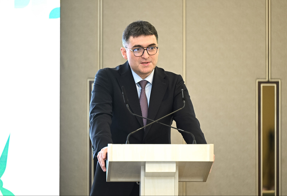 Nazir müavini: Azərbaycan transsərhəd yaşıl enerji ticarəti üçün regional sertifikatlaşdırma mexanizmi təklif edir