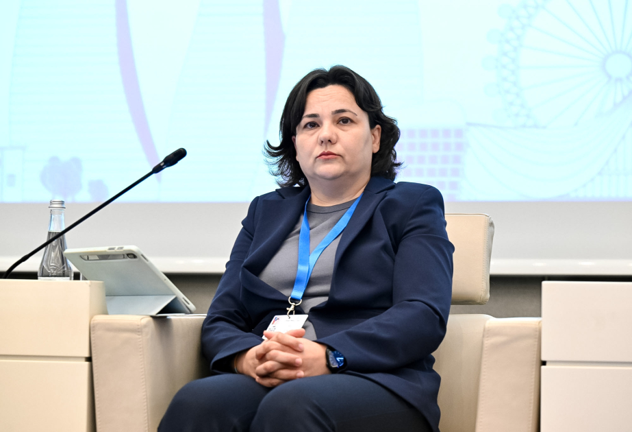 İlhamə Qədimova: İqlim dəyişikliklərinə həssas regionlarda erkən xəbərdarlıq sistemlərinin yaradılması nəzərdə tutulur