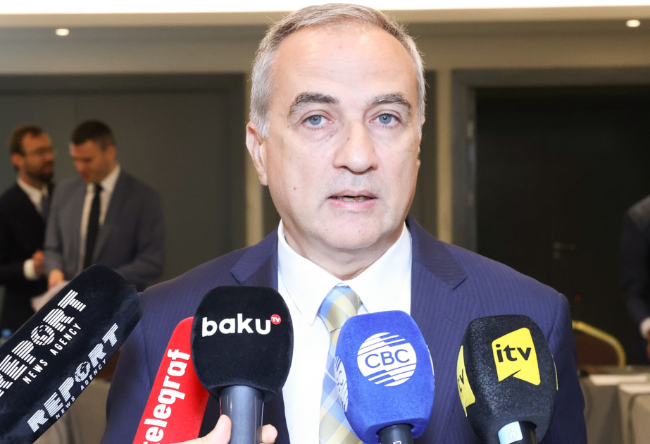 Fərid Şəfiyev: Azərbaycanın regionda artan rolu Avropa ölkələrinin diqqətini cəlb edir