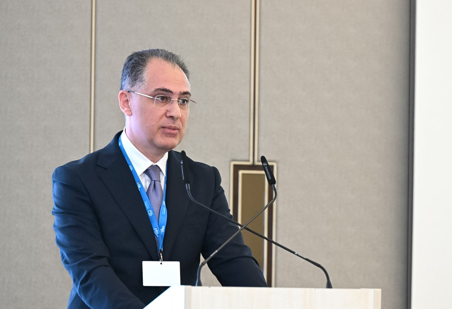 Xəyyam Məmmədov: Biz atmosferdə və çay hövzələrində baş verən prosesləri real vaxt rejimində izləməliyik