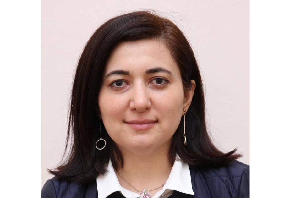 ADPU-nun baş müəllimi: Tarix dəqiqliyi sevir, ona kənardan yazılar yazmaq olmaz