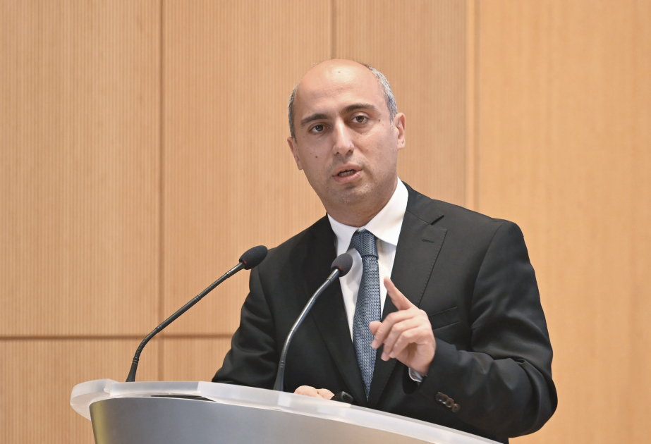 Emin Əmrullayev: Dil bilikləri ilə oxu savadlılığı fərqli sahələrdir, bunları qarışdırmaq olmaz