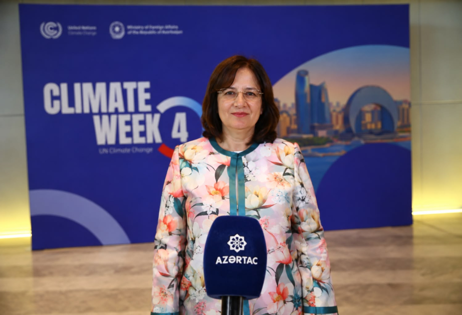 COP31 CEO: Discussions held at Baku Climate Action Week are of great importance for COP31