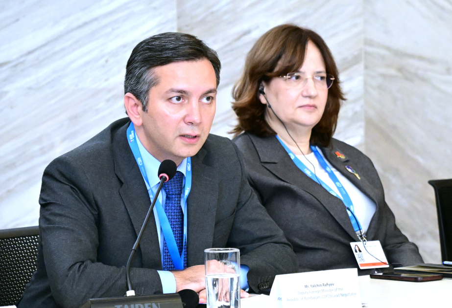 Yalçın Rəfiyev: Azərbaycan uşaq və gənclər məsələsini qlobal iqlim gündəliyinin yuxarı pillələrinə yüksəldib