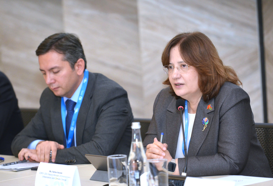 Fatma Varank: COP31 gənclərin COP-u olacaq