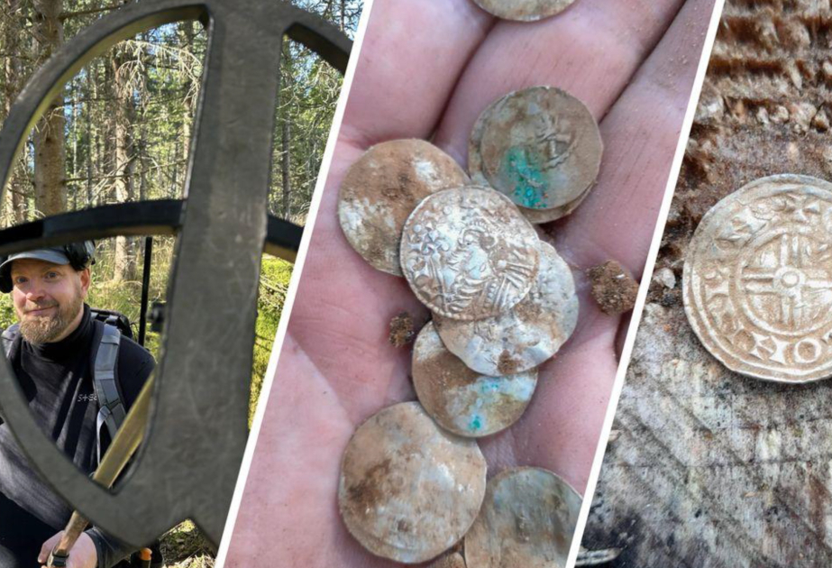 Finland's largest Viking Age silver coin hoard discovered
