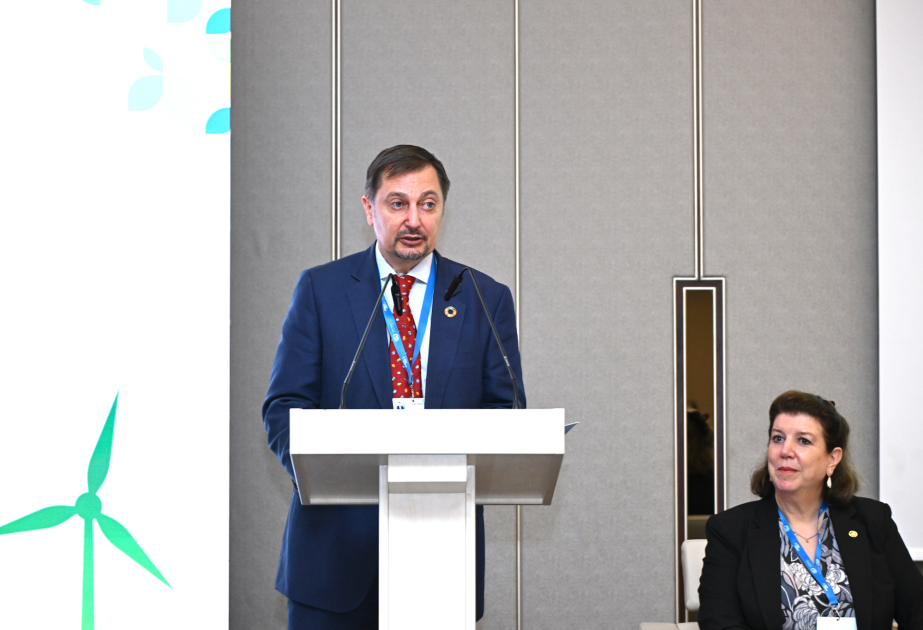 Dmitro Şlapaçenko: İqlim dəyişmələri ilə bağlı problemlərin həlli üçün beynəlxalq əməkdaşlıq vacibdir