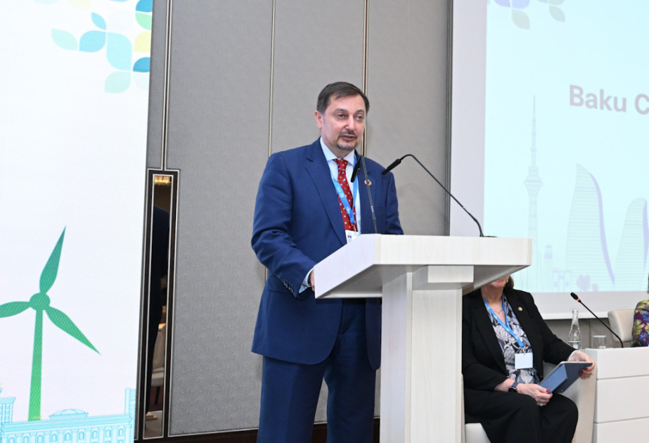 Dmitro Şlapaçenko: Azərbaycanın milli koordinator təcrübəsi digər ölkələr üçün faydalı ola bilər