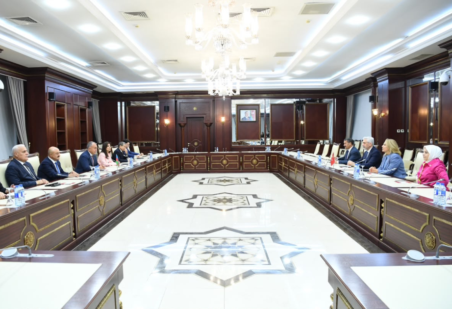 Azerbaijani, Turkish Parliaments discuss climate and energy cooperation