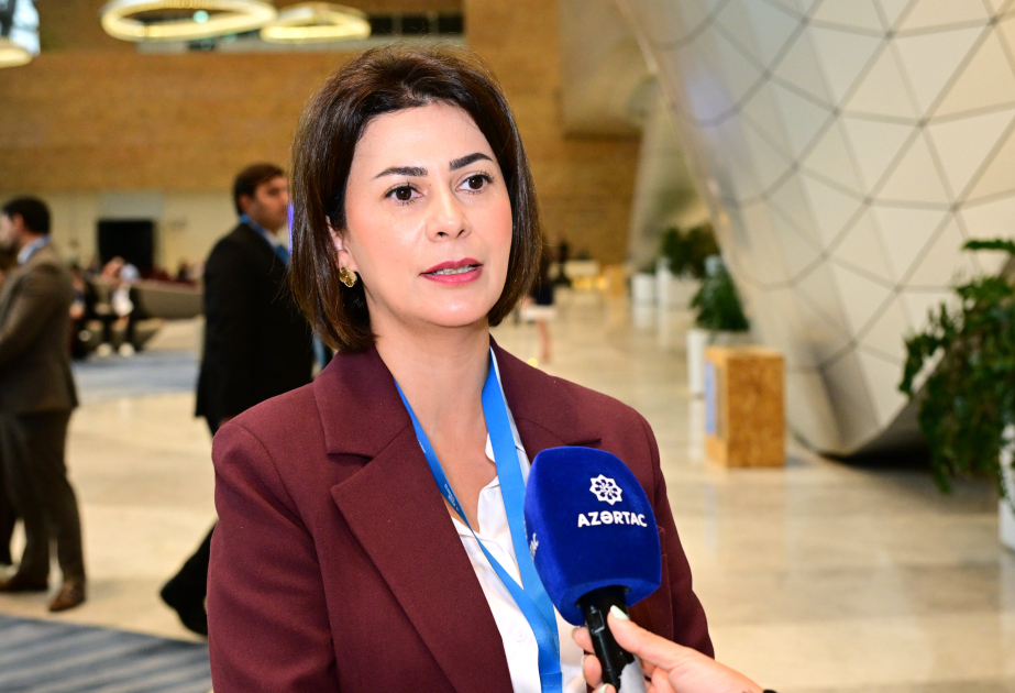 CECECO-nun icraçı direktoru: Bakı İqlim Fəaliyyəti Həftəsi COP29-un nəticələrini irəli aparır