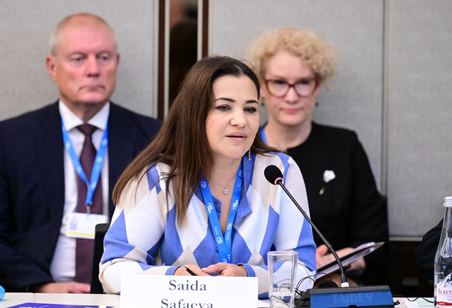 Saida Safayeva: Dayanıqlı İnkişaf Məqsədlərinin təqdim etdiyi icra çərçivəsini lazımi səviyyədə tətbiq etmirik