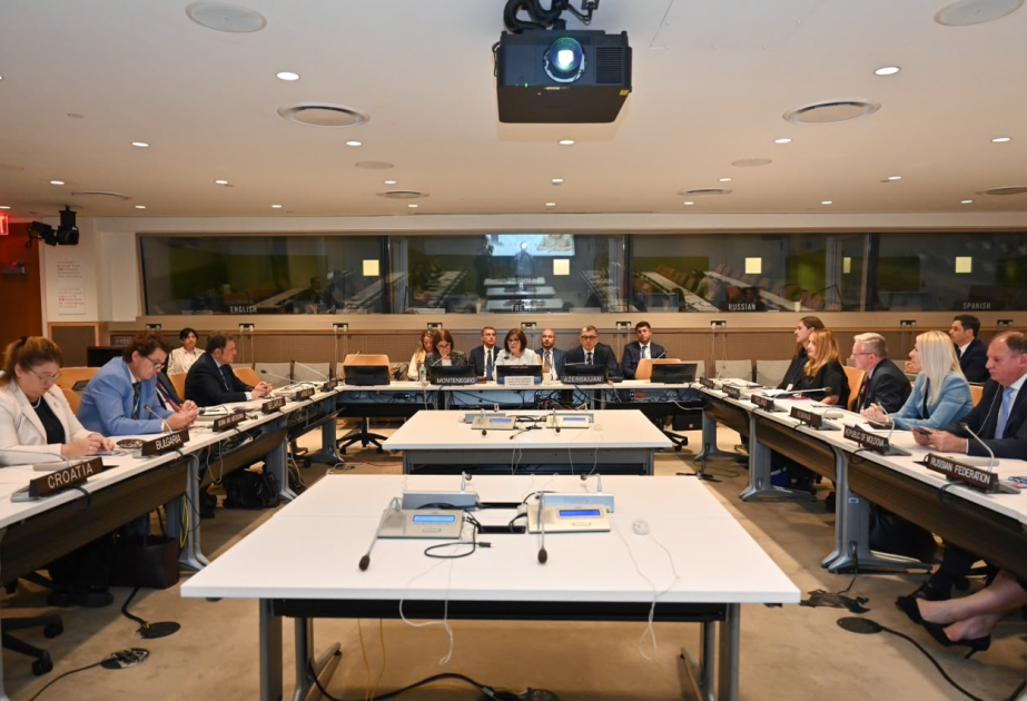 BMT-də beynəlxalq parlament diplomatiyasının əhəmiyyətindən danışılıb