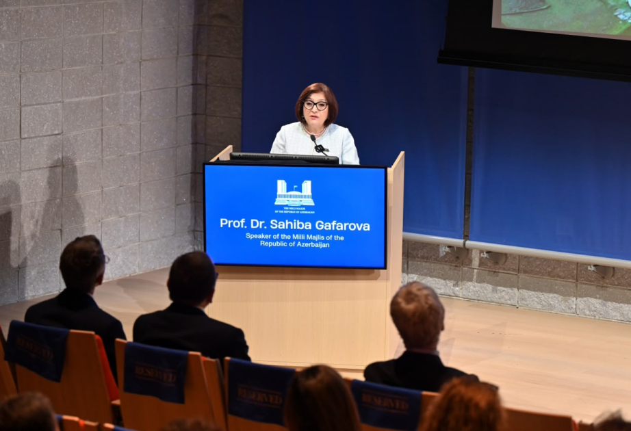 Sahiba Gafarova: International agreements are only the start of the process