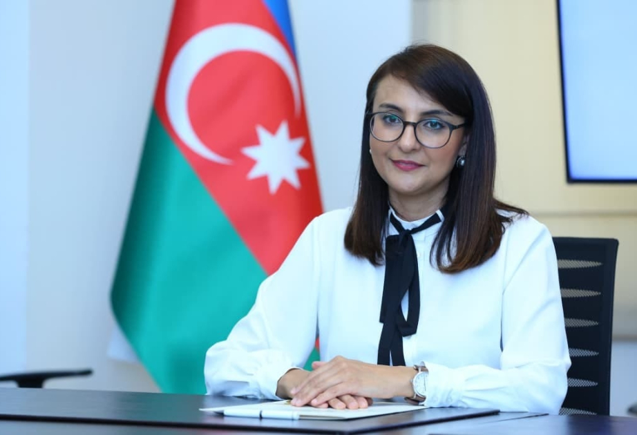 Gənclər təşkilatlarının fəaliyyətinin dəstəklənməsi məqsədilə qrant müsabiqəsi elan ediləcək
