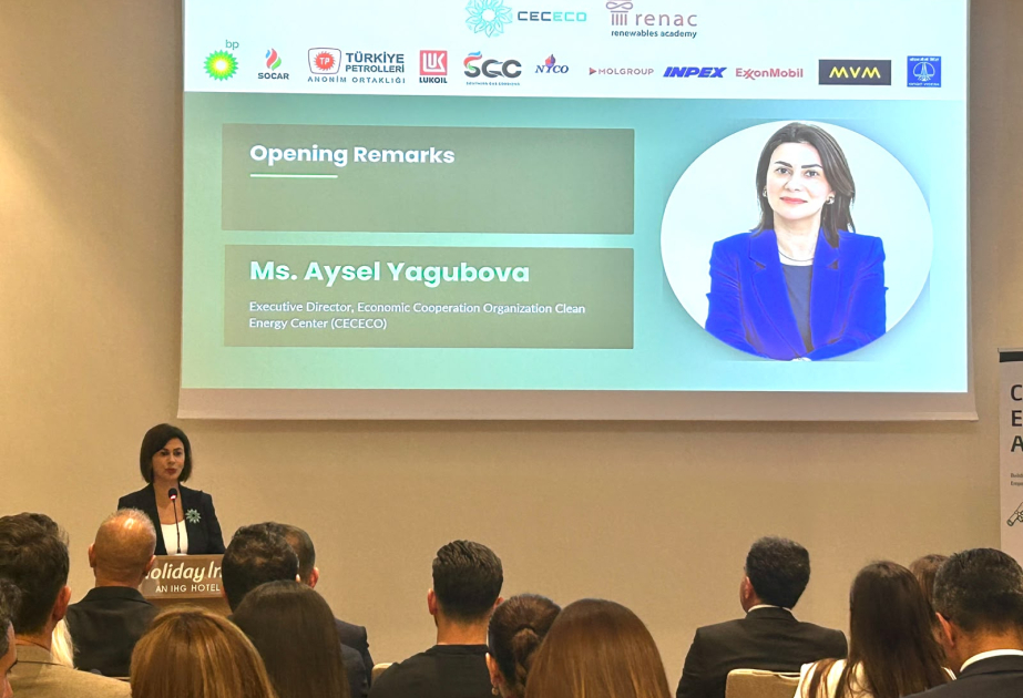 CECECO: Enerji keçidi yalnız texnologiyalar, infrastruktur və investisiyalarla bağlı deyil
