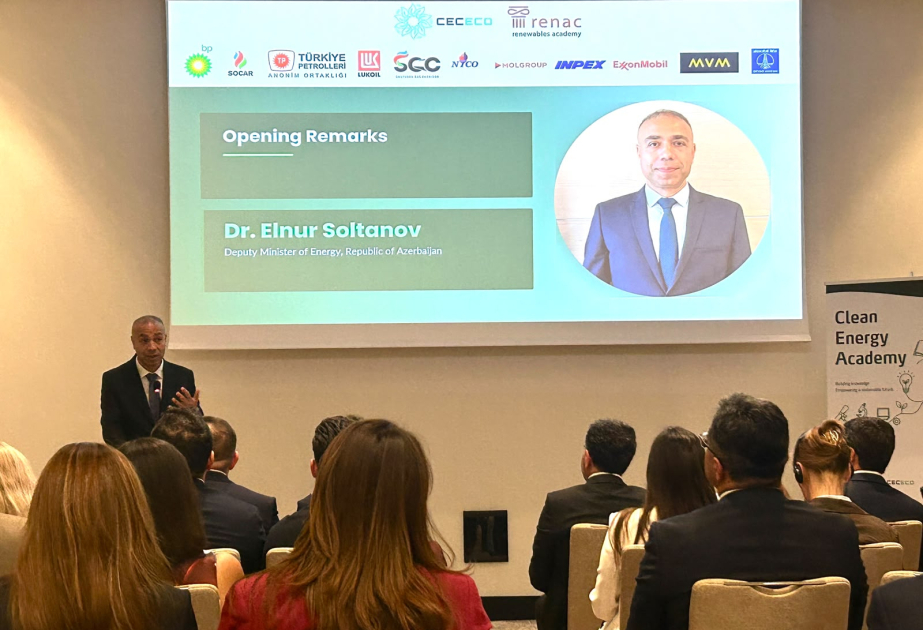 Elnur Soltanov: Enerji keçidində özəl sektorun iştirakı vacibdir
