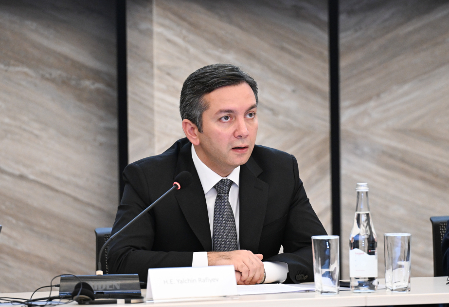 Yalçın Rəfiyev: İqlim dəyişikliyi qlobal sülh və təhlükəsizlik üçün ciddi təhdidə çevrilib