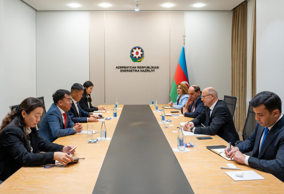 Aserbaidschan und Vietnam erörtern Windenergieprojekt mit 200 MW