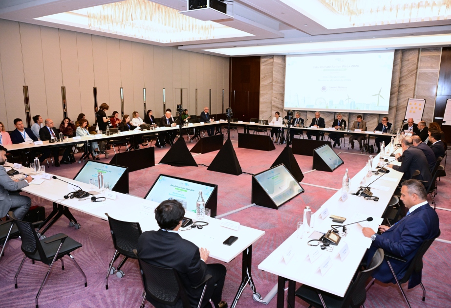 Baku Climate Action Week: Rolle des Privatsektors beim Klimaschutz erörtert