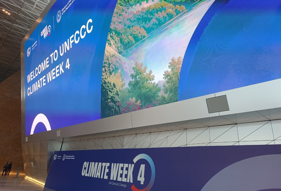 Четвертый день BCAW2026: от наследия прошлого к устойчивой модели будущего