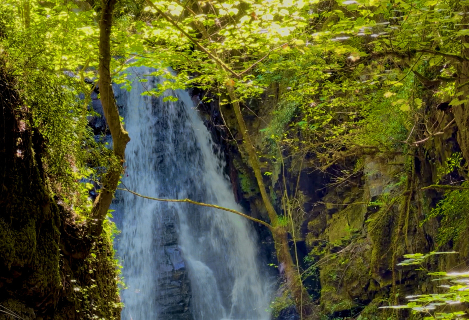A 600-meter adventure leading to the breathtaking Bibiyani Waterfall VIDEO