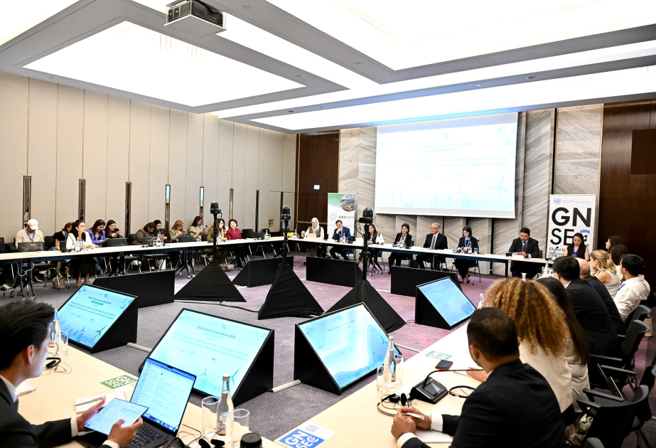 Dayanıqlı enerji mərkəzlərinin iqlimə dözümlülüyün təşviqində roluna dair regional dialoq baş tutub VİDEO