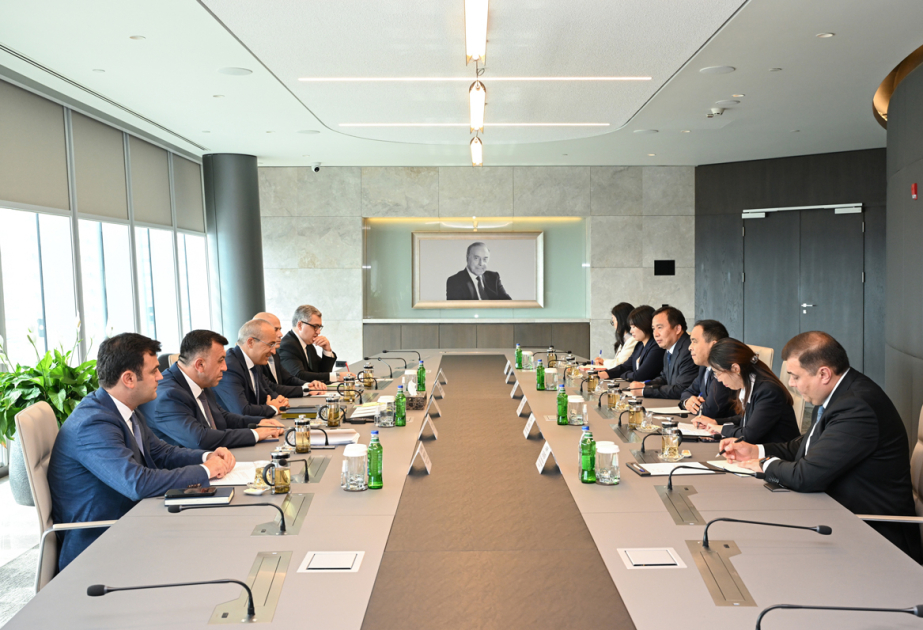 Se debatió el desarrollo de la cooperación con una empresa china en la industria petrolera y petroquímica