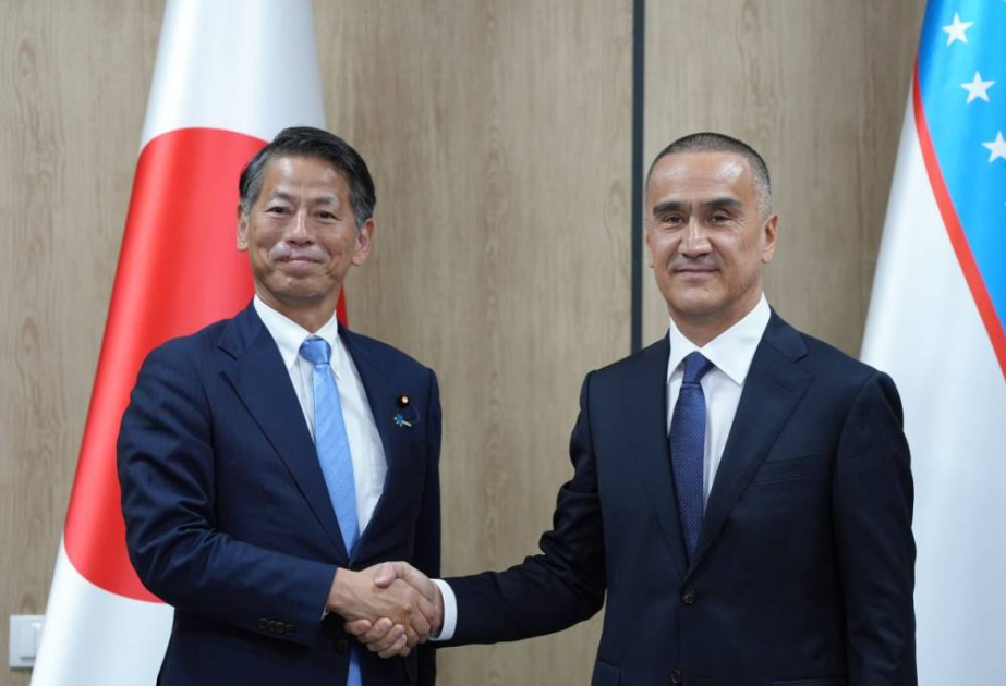 Uzbekistan and Japan strengthen cooperation in the energy sector