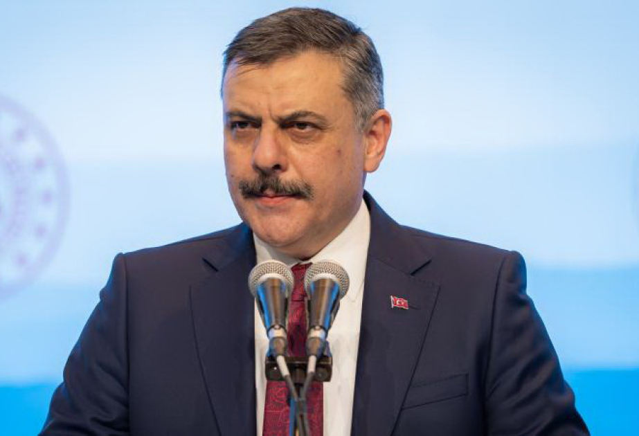 Глава МВД Турции: Азербайджан, Казахстан, Кыргызстан и Узбекистан позитивно оценили инициативу создания TÜRKPOL