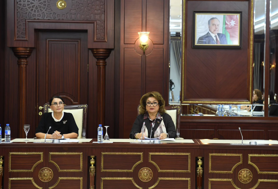 Hicran Hüseynova: Qanunların qəbul edilməsi ilə kifayətlənmək olmaz