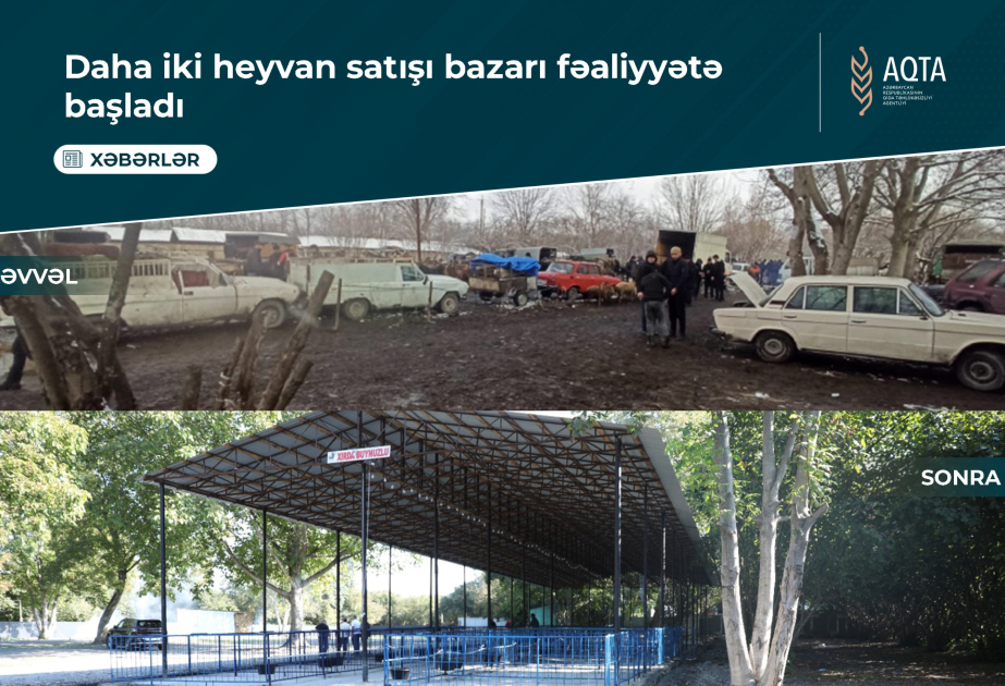 Daha iki rayonda heyvan bazarlarının fəaliyyətinə icazə verilib
