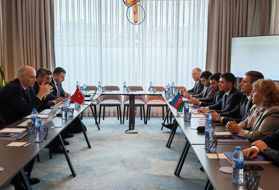 Regulations Working Group meeting held within 5th Azerbaijan-Türkiye Energy Forum