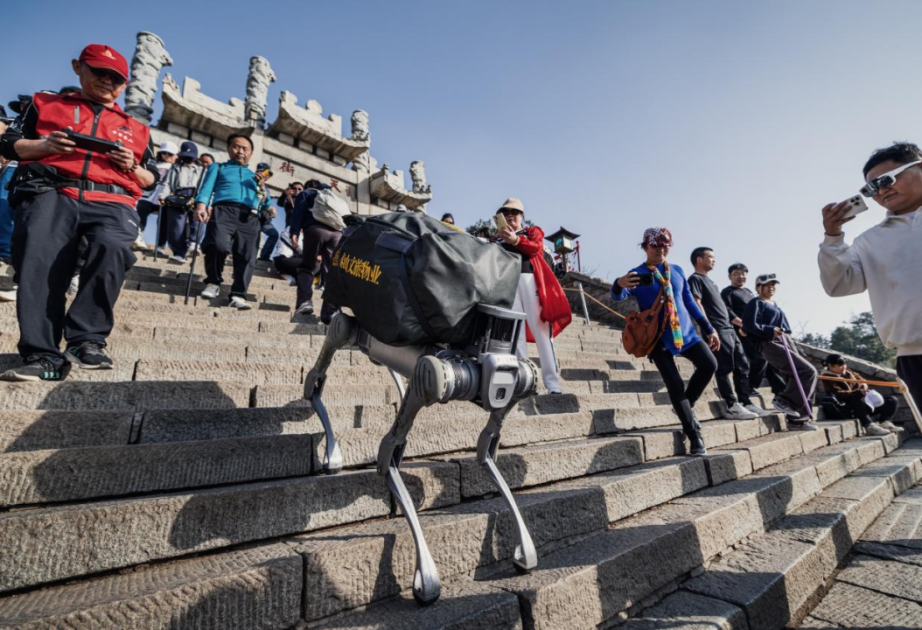 Taishan Mountain to host inaugural world robot competition
