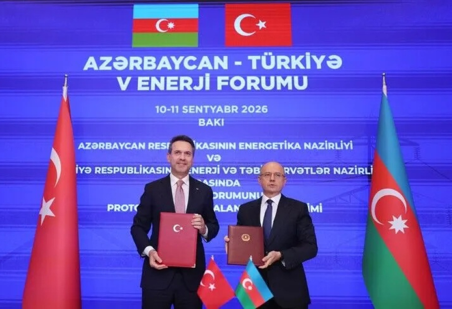 Ankara et Bakou étudient une ligne électrique sous-marine en mer Noire vers l'Europe