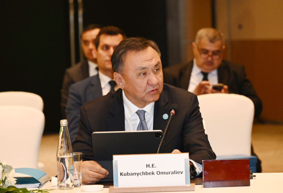 TDT-nin Baş katibi: Təşkilatımız türk xalqları arasında həmrəyliyi möhkəmləndirməyi qarşıya məqsəd qoyur