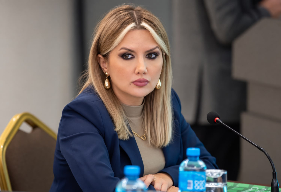 Diplomatik korpusun Qarabağ və Şərqi Zəngəzura səfərləri yeni reallıqları dünyaya göstərir  ŞƏRH