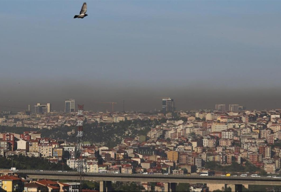 Havanın çirklənməsi pnevmoniya, sepsis və meningit riskini artıra bilər - Araşdırma