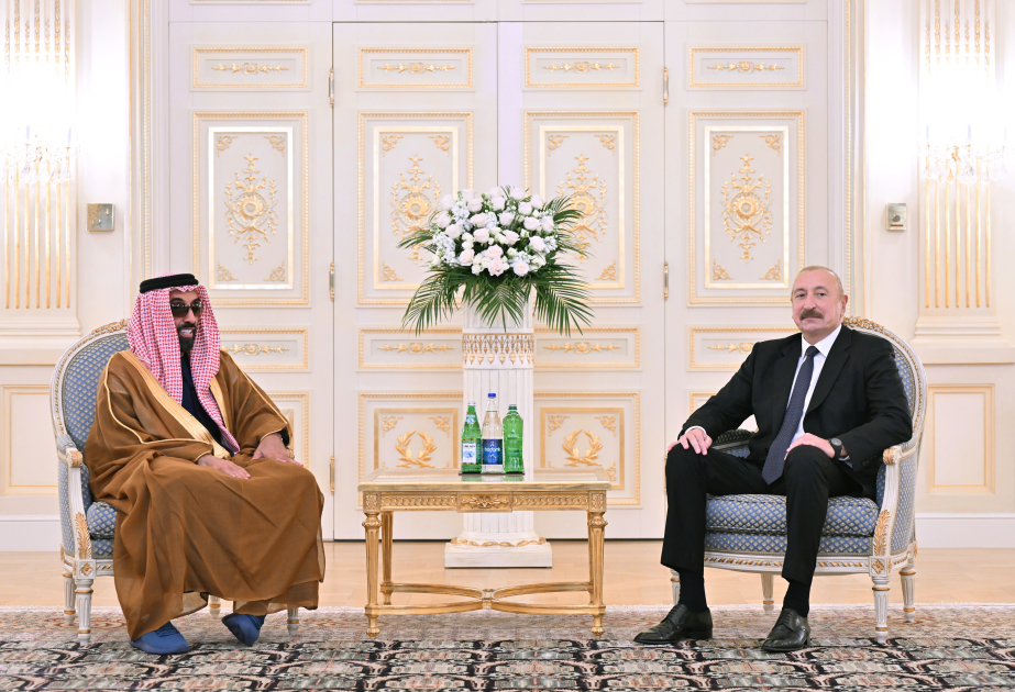 伊利哈姆·阿利耶夫总统会见阿联酋国家安全顾问
