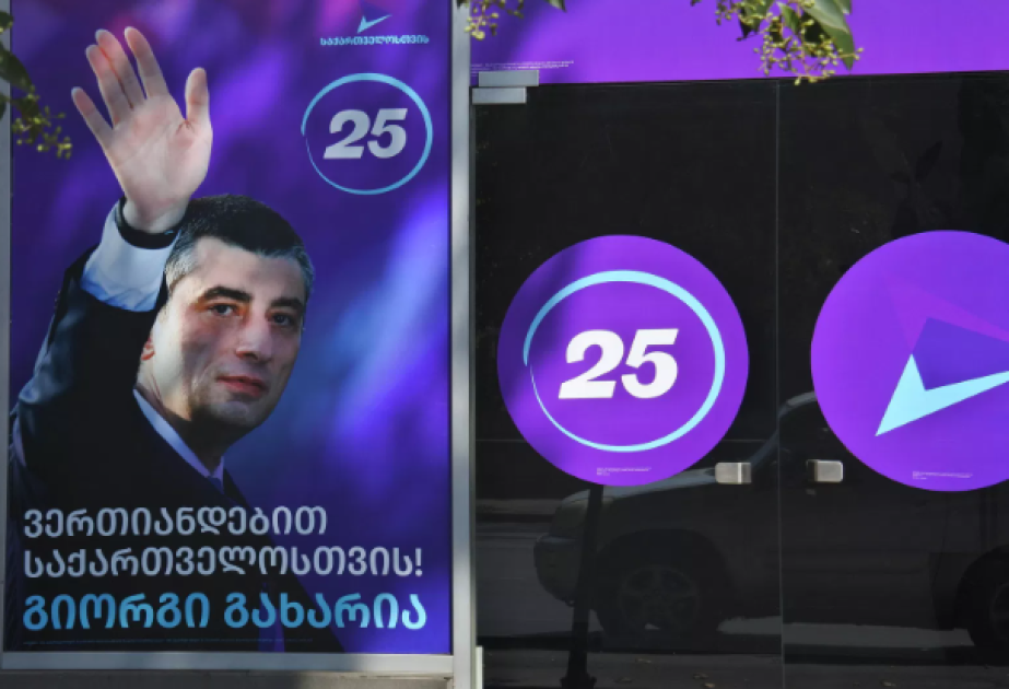 Gürcüstanda daha bir müxalifət partiyası ləğv oluna bilər