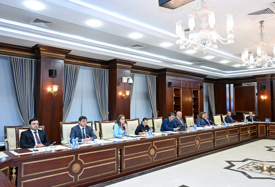 Rəsmi səfər məqsədi ilə verilən giriş vizasının şamil olunduğu şəxslərin siyahısı dəqiqləşdirilir