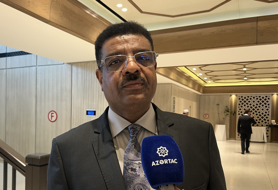 Ambassador: ICESCO Regional Office in Baku can contribute to studying legacy of Central Asia