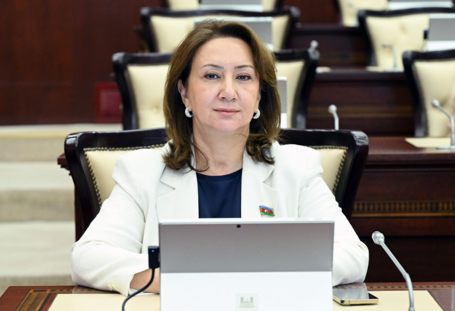 Azərbaycanın suverenliyinə hörmət beynəlxalq münasibətlərin təməl prinsipidir  ŞƏRH