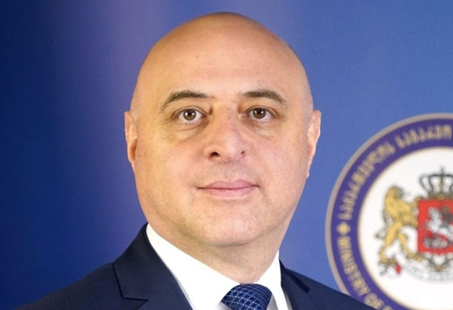 Gürcüstan Azərbaycana yeni səfir təyin edib